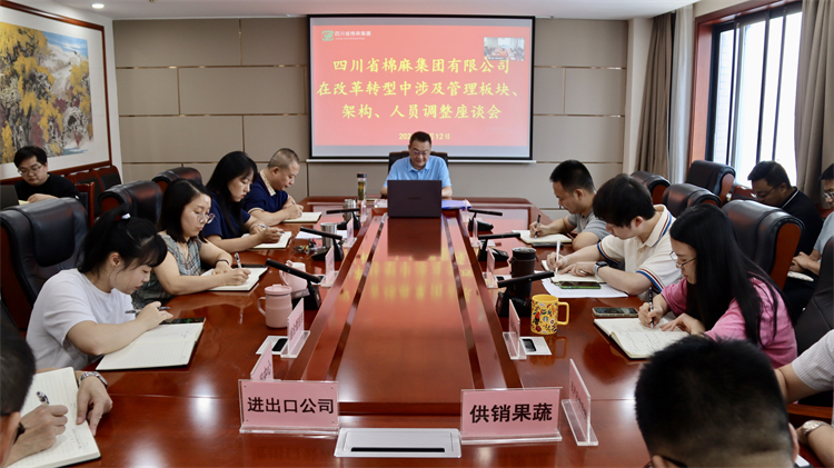 集團(tuán)公司召開在改革轉(zhuǎn)型中涉及管理板塊、架構(gòu)、人員調(diào)整座談會