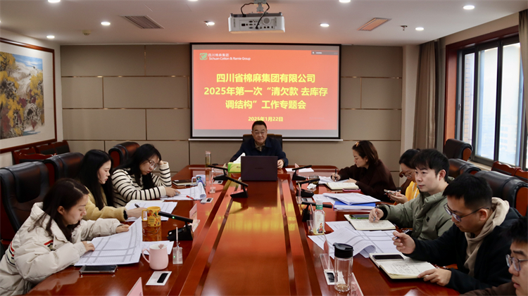集團(tuán)公司召開2025年第一次“清欠款、去庫存、調(diào)結(jié)構(gòu)”工作專題會